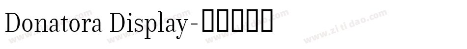 Donatora Display字体转换